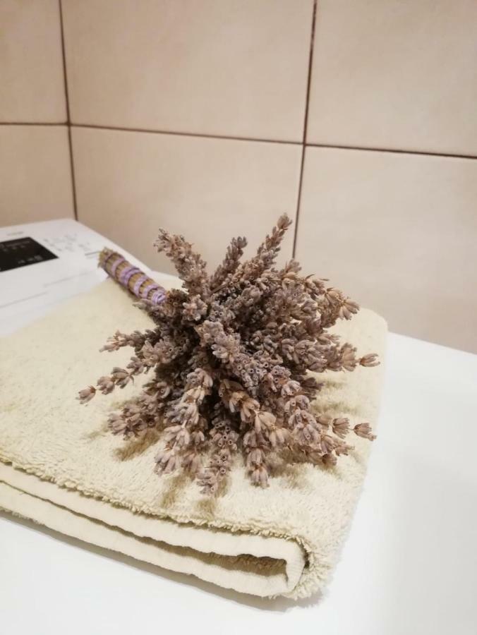 Apartman Jela Šibenik Екстериор снимка